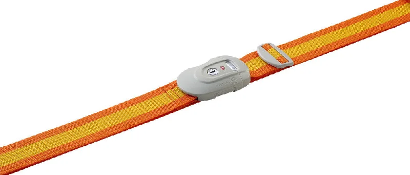 Lock Strap