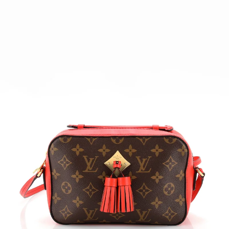 Saintonge Handbag Monogram Canvas with Leather